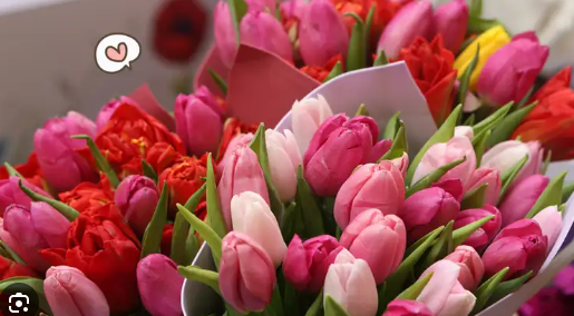 Macam Bunga dan Maknanya untuk Orang Tersayang