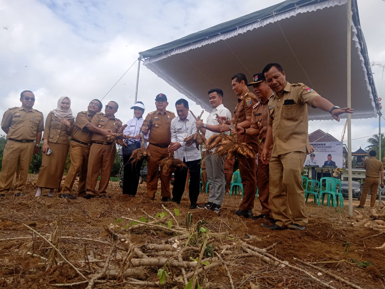 Kemitraan Komunitas Singkong Desa Bukoposo Mesuji Dan PT Humas Jaya Panen Perdana Singkong...