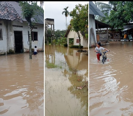 Sedimentasi Sungai, Puluhan Rumah Langganan Banjir di Wayjepara