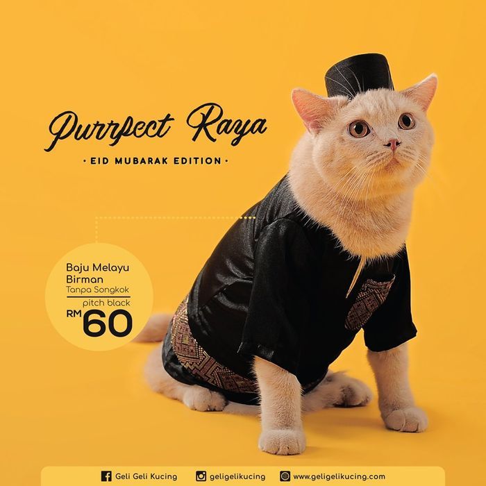 Unik! Kucing Juga Bisa Ikut Merayakan Lebaran dengan Baju Hari Raya Khusus, lo!