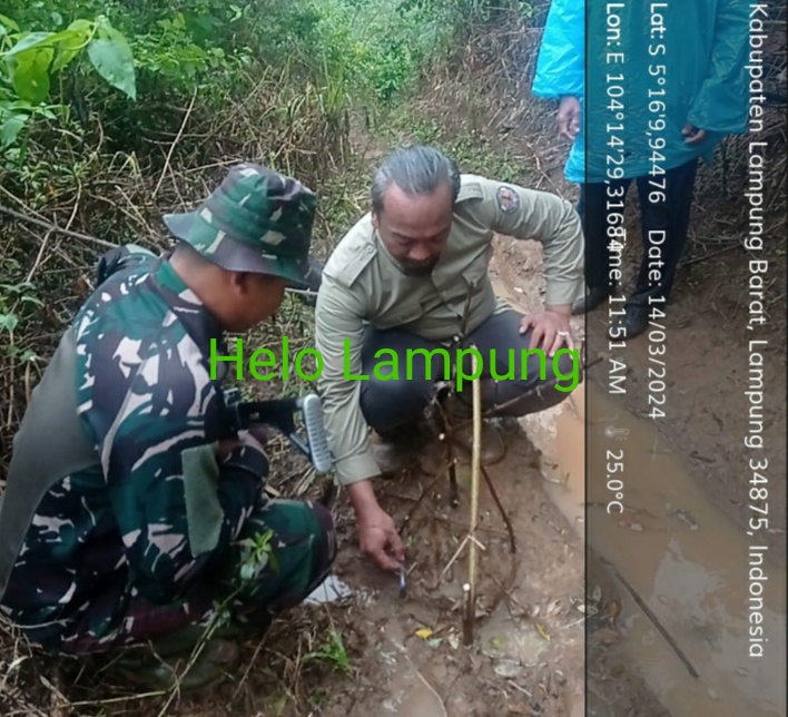 5 Pemburu Harimau Mulai Aksi di Suoh, 1 Sniper dan 2 Pawang 