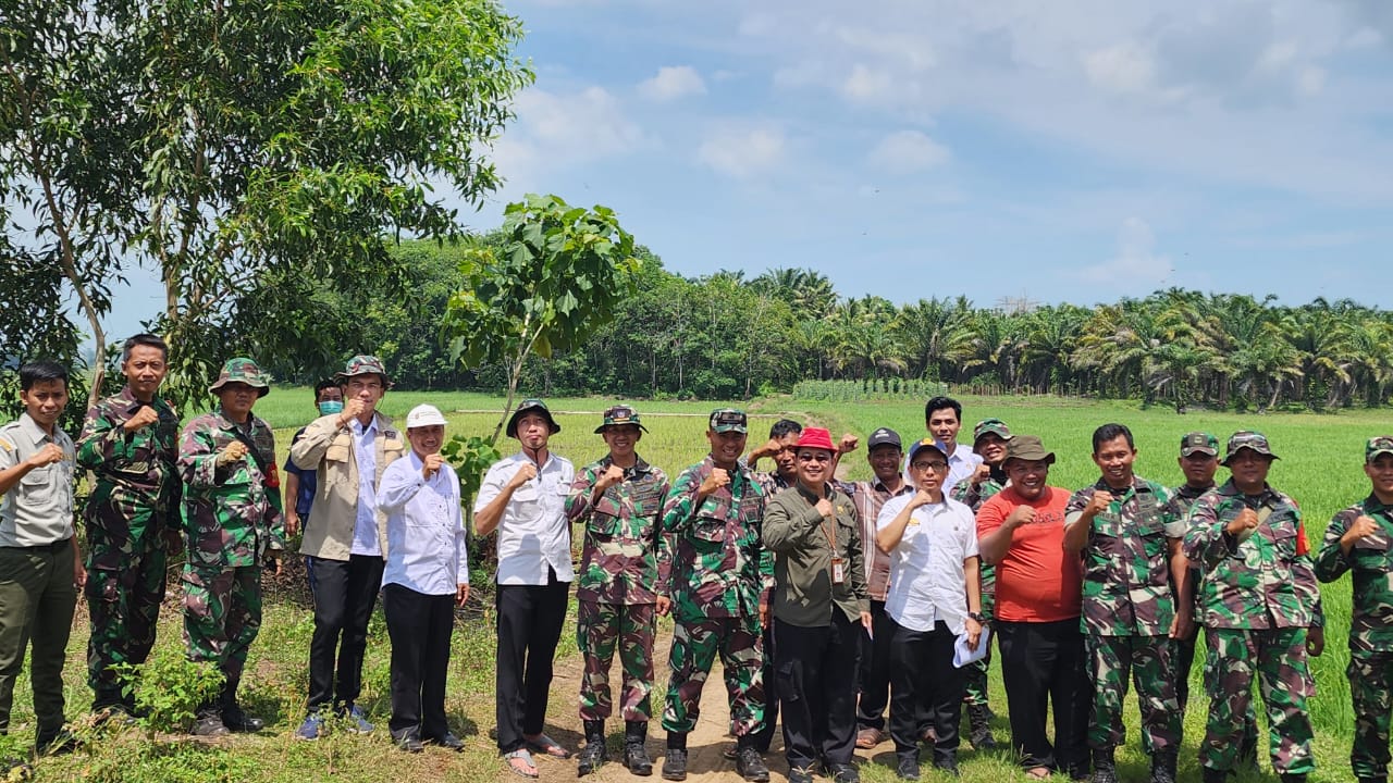 Kementerian Pertanian Gandeng TNI Wujudkan Lampung Jadi Sentra Produksi Beras