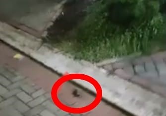 Gudang Amunisi Yon Armed VII Meledak, Granat Beterbangan dan Mendarat di Depan Rumah Warga