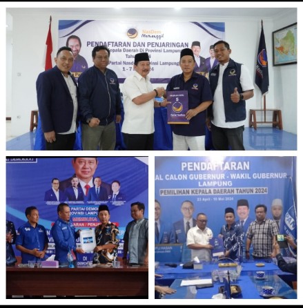 Ke PAN, Demokrat, dan Nasdem, Kapasitas Herman HN Gubernur