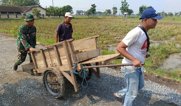 Gerobak Kayu Jadi Idola sebagai Alat Angkut  Material di Lokasi TMMD Mojolaban