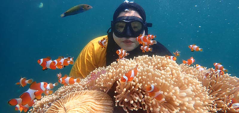 Pengalaman Open Trip ke Pulau Karimunjawa Dari Surabaya Via Pelabuhan Kartini Jepara