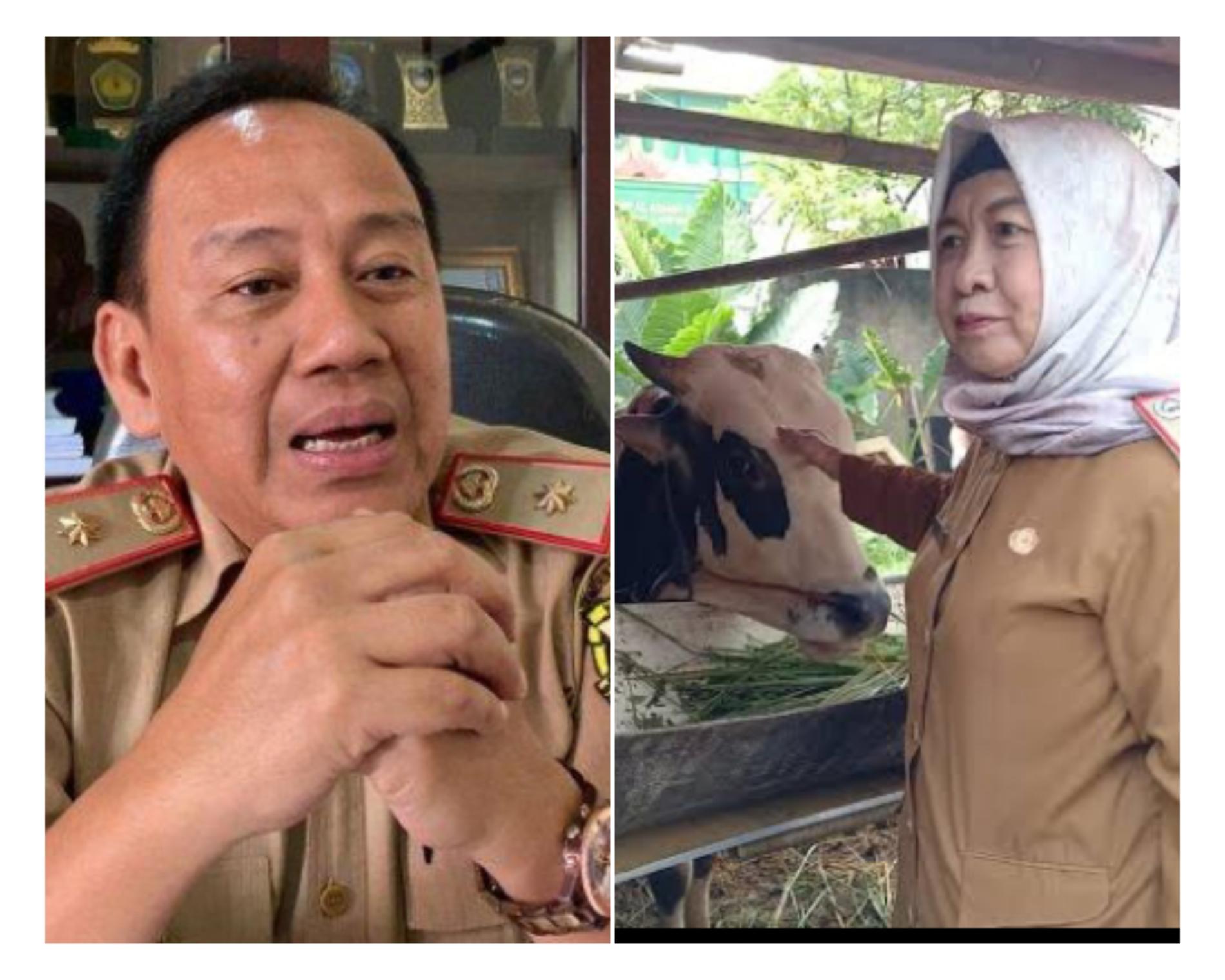 Bandarlampung Butuh 5500 Hewan Kurban