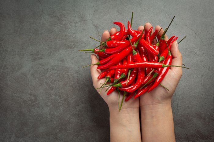 Tips Menyimpan Cabai Agar Tidak Cepat Busuk