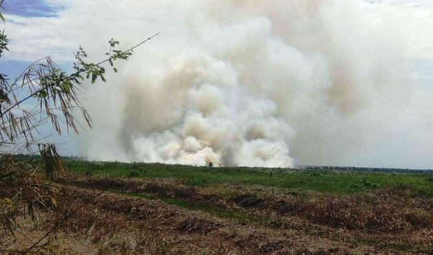 Antisipasi Karhutla di Kalsel dengan Sekat Bakar
