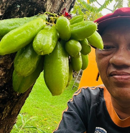 Woooi Sudah Ngopi Belum? Yok, Sambil Bahas Belimbing Culuk