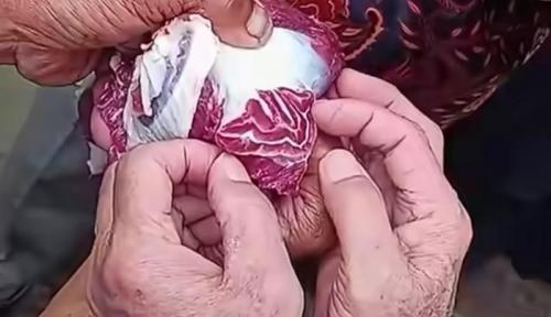 VIRAL Ada Daging Kurban yang Memiliki Tulisan Lafadz Allah Ketika Diiris 