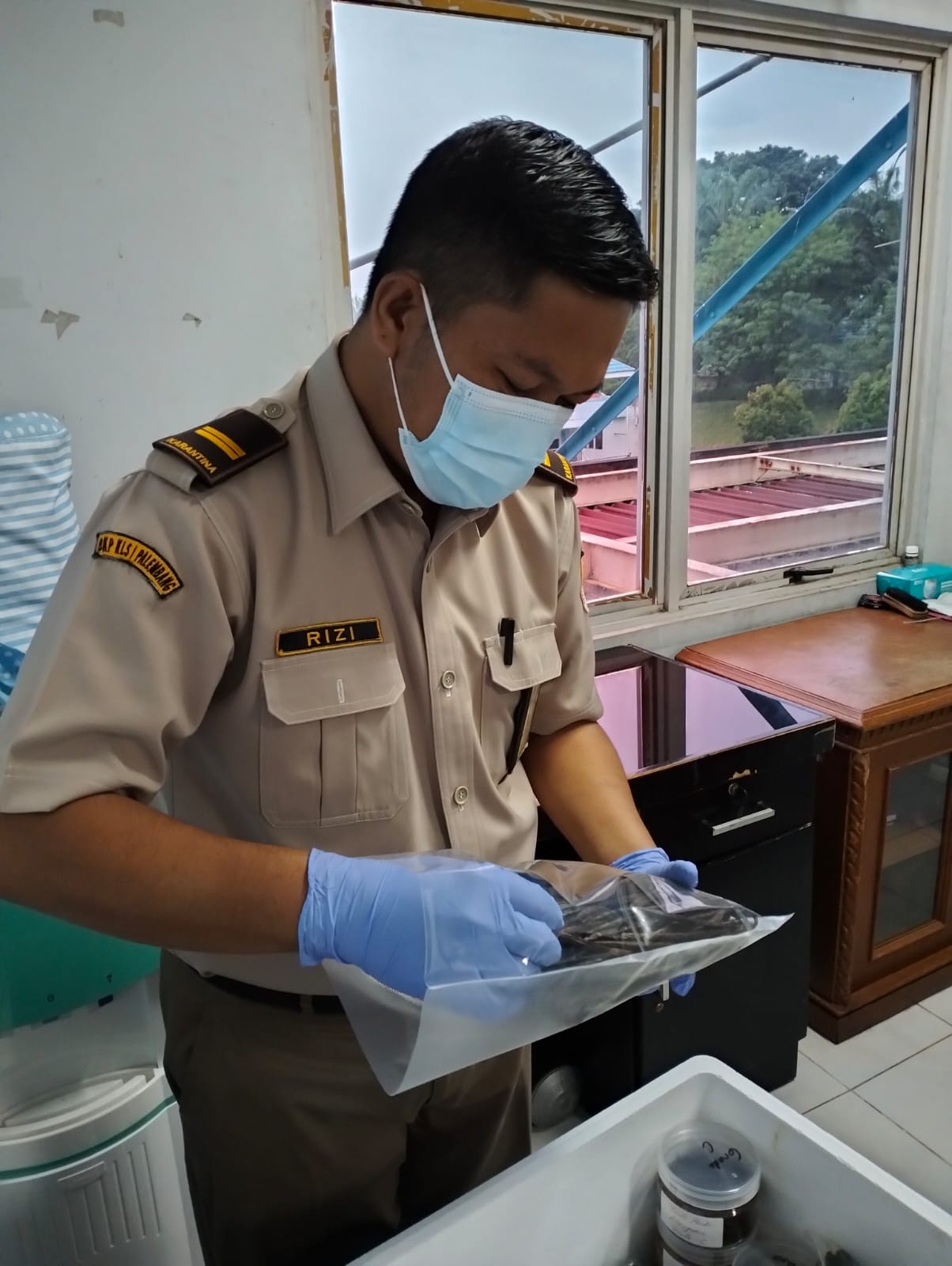 Punya Aroma Khas, Emas Hijau Wajib Dilaporkan ke Badan Karantina