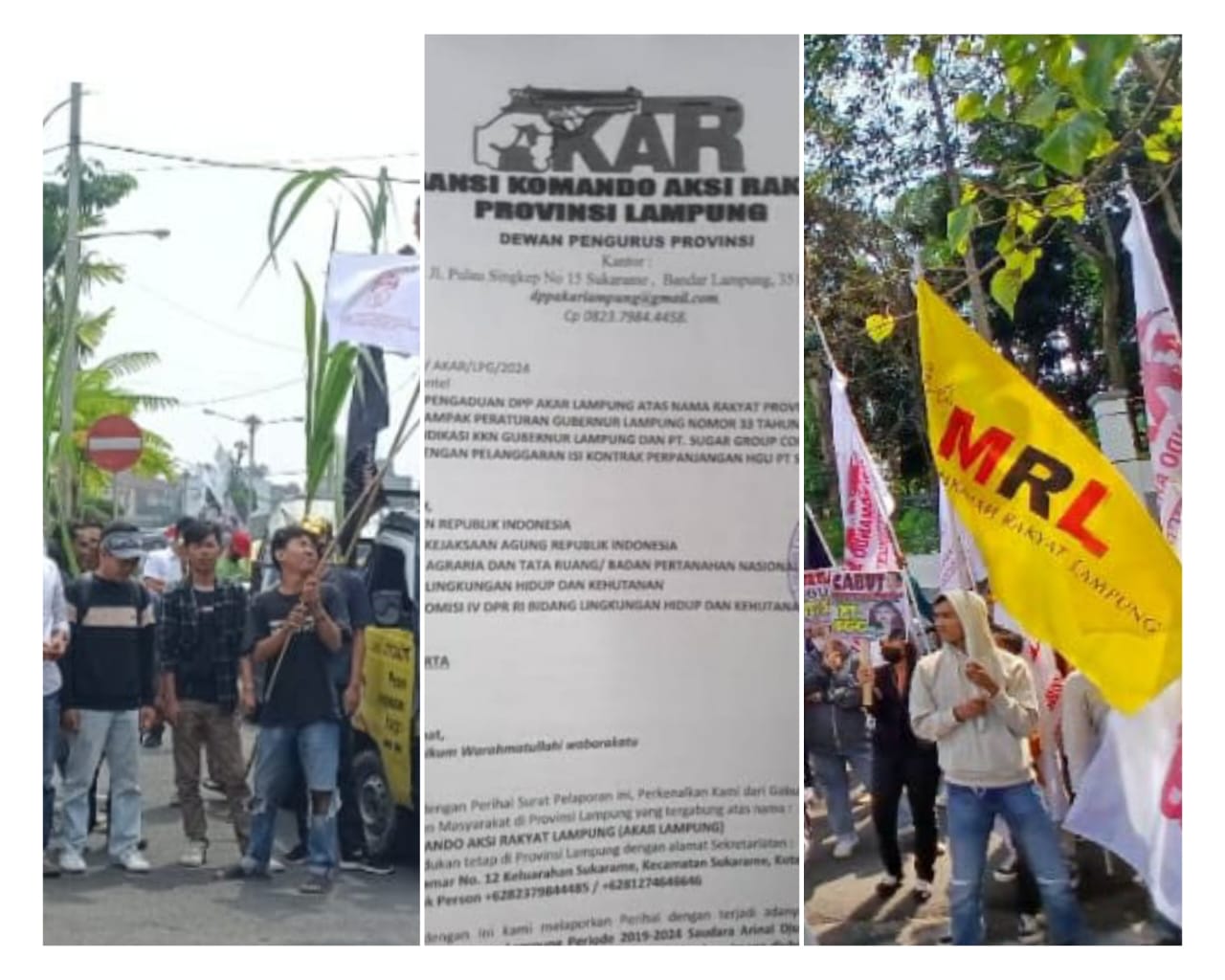Didemo, SGC Diduga Tunggak Pajak Triliunan dan HGU Lebih 20 Ribu Ha