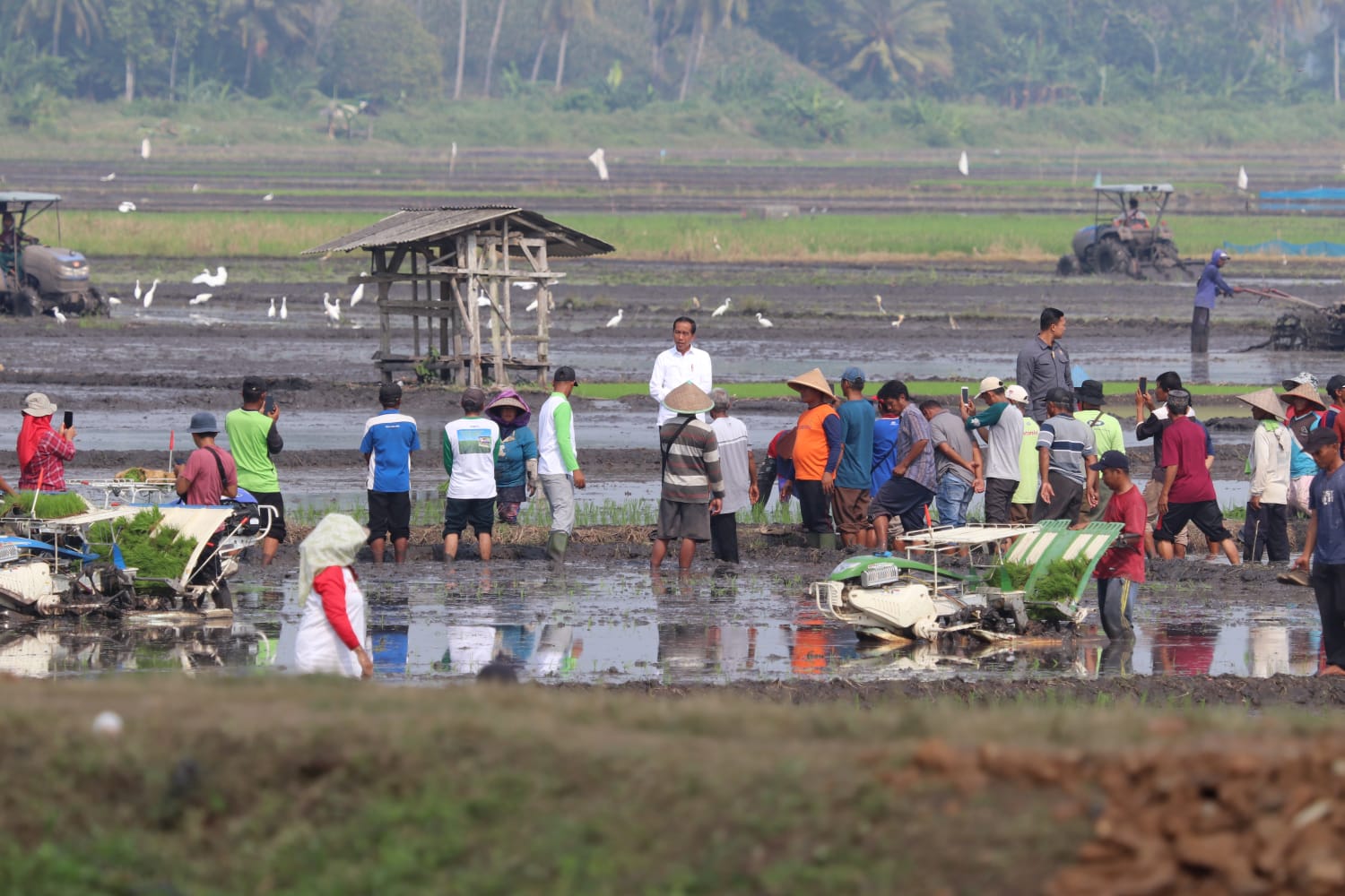 Dorong Peningkatan Produksi Pangan Lokal, Presiden Joko Widodo didampingi Pj. Gubernur Lampung Tinjau Progran Bantuan Pompa Pengairan Sawah di Lampung Selatan