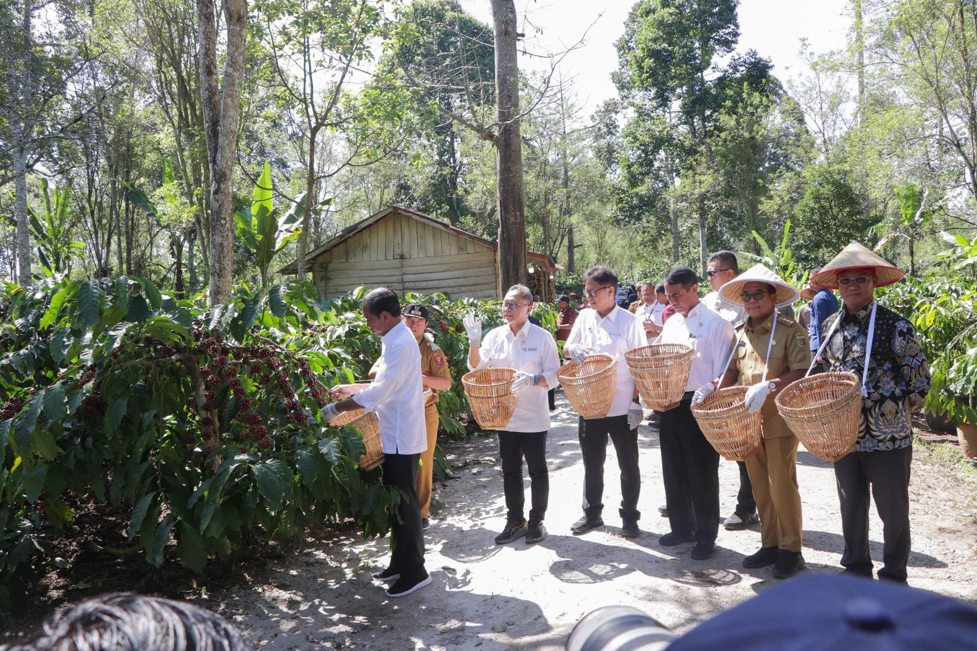 Presiden Joko Widodo Tekankan Perlunya Dukungan Dalam Upaya Peningkatan Produktivitas Kopi di Lampung Barat