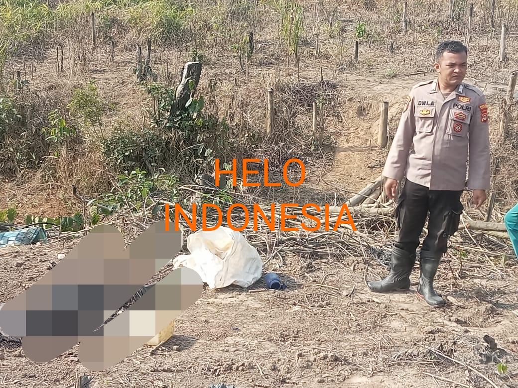 Mayat Hitam Membusuk di Tengah Kebun Singkong Register 45