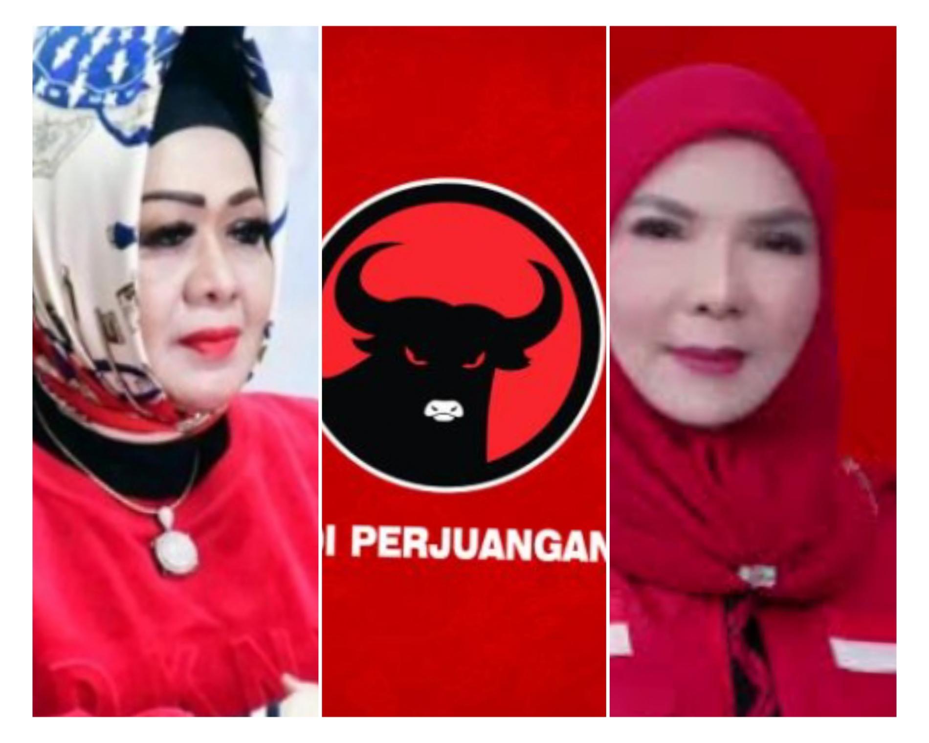 Sisa PDIP Lagi Pilwalkot Bandarlampung, Reihana atau Eva