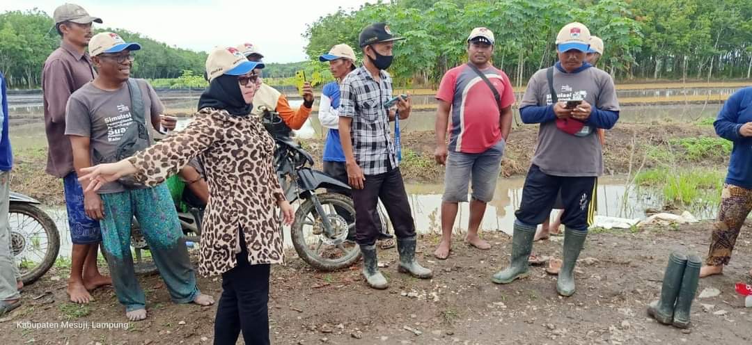 Jika Terpilih, Elfianah Akan Teruskan Program Prorakyat