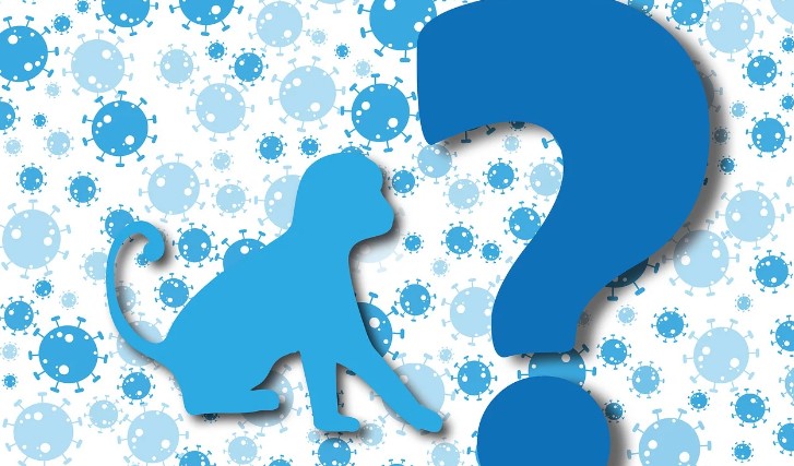 Wajib Tahu! Penyebab Cacar Monyet yang Viral di TikTok