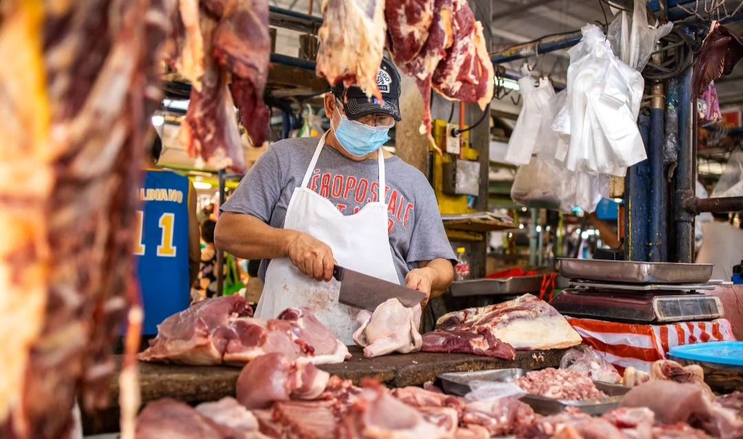  Pakan Ternak Turun  Harga Ayam Ikut Turun