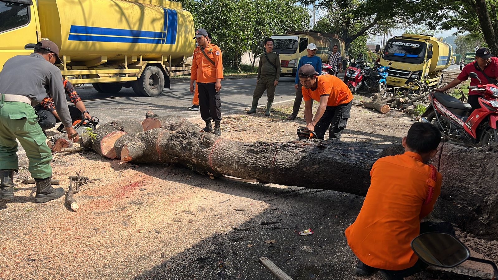  Delapan Kecamatan Terdampak Hujan Deras dan Angin Kecang di Balam