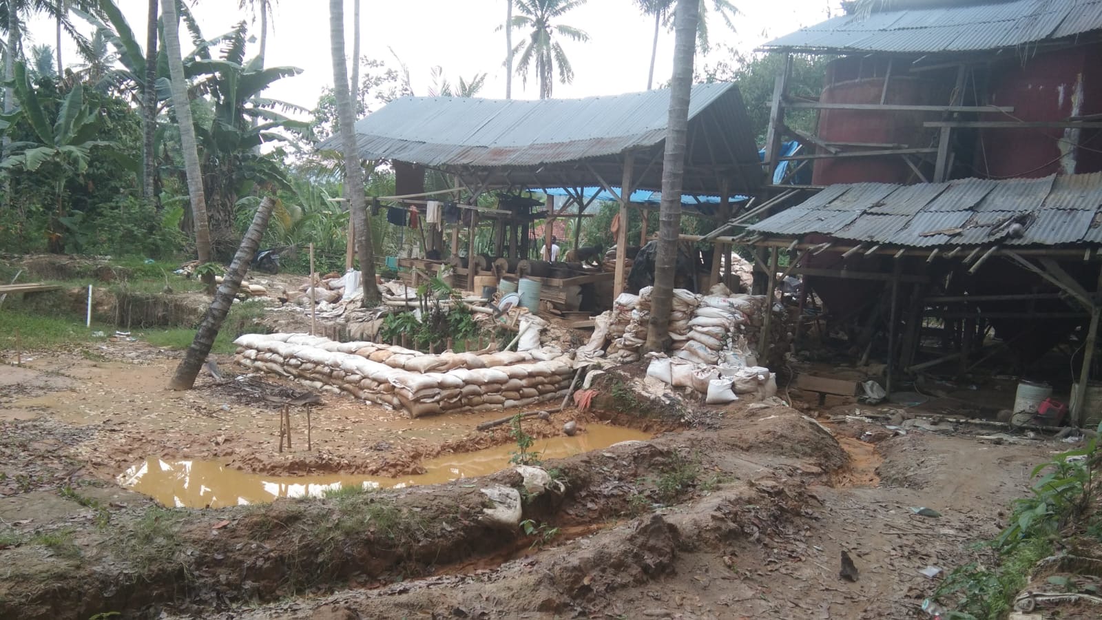 Marak Pengolahan Emas Ilegal di Desa Bunut Wayratai Pesawaran