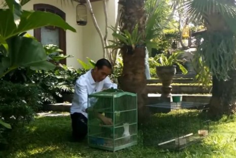 Ndherek Mangayubagyo, Solo Helat Mangayubagyo Jokowi