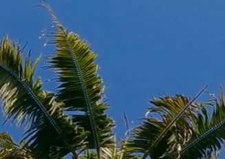 Pentingnya Melembapkan Kulit di Saat Cuaca Bersuhu Panas, Apa Saja Pantangannya?