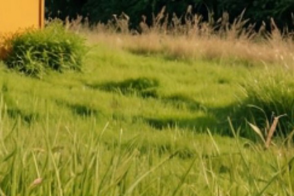 Tragedi Memilukan: Siswi SD 7 Tahun Ditemukan Tewas di Kebun, Tanpa Celana