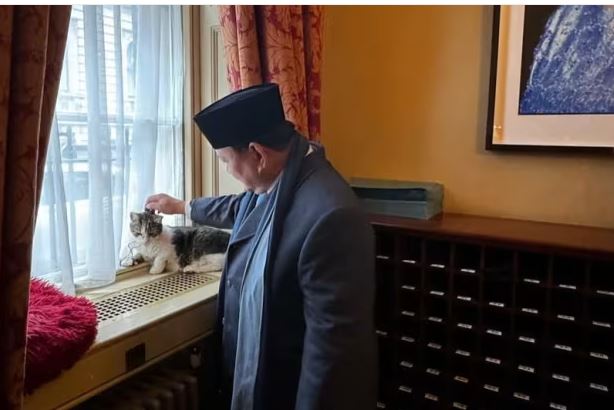 Momen Ketika Prabowo Elus Larry, Kucing Milik PM Inggris, Cakepan Mana Sama Boby?