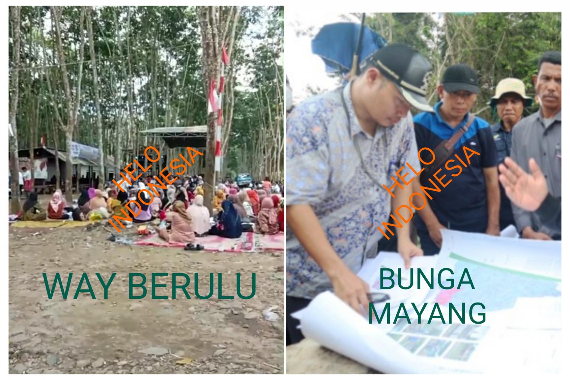 FKPPIB Atensi Kejagung Telisik Okupasi Lahan PTPN di Way Berulu dan Bunga Mayang