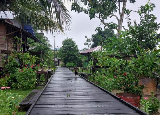 Ekowisata Karuing (3): Warga Ingin Tambah Ilmu Ecoprint dan Homestay