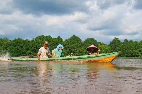 Hutan Kalimantan