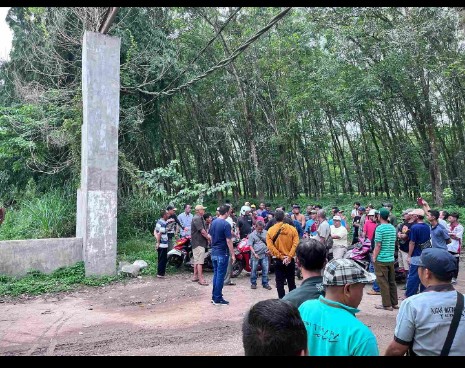Harga Singkong Anjlok, Puluhan Petani Singkong Gelar Aksi