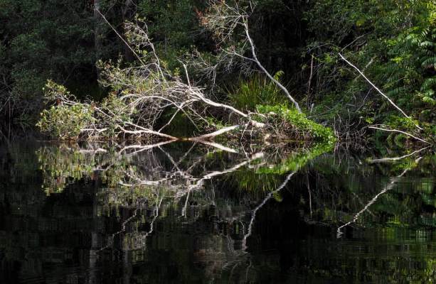 Suasana danau yang teduh permukaan airnya tenang terlihat bagai kaca Gandhi Wasono Seperti Kaca