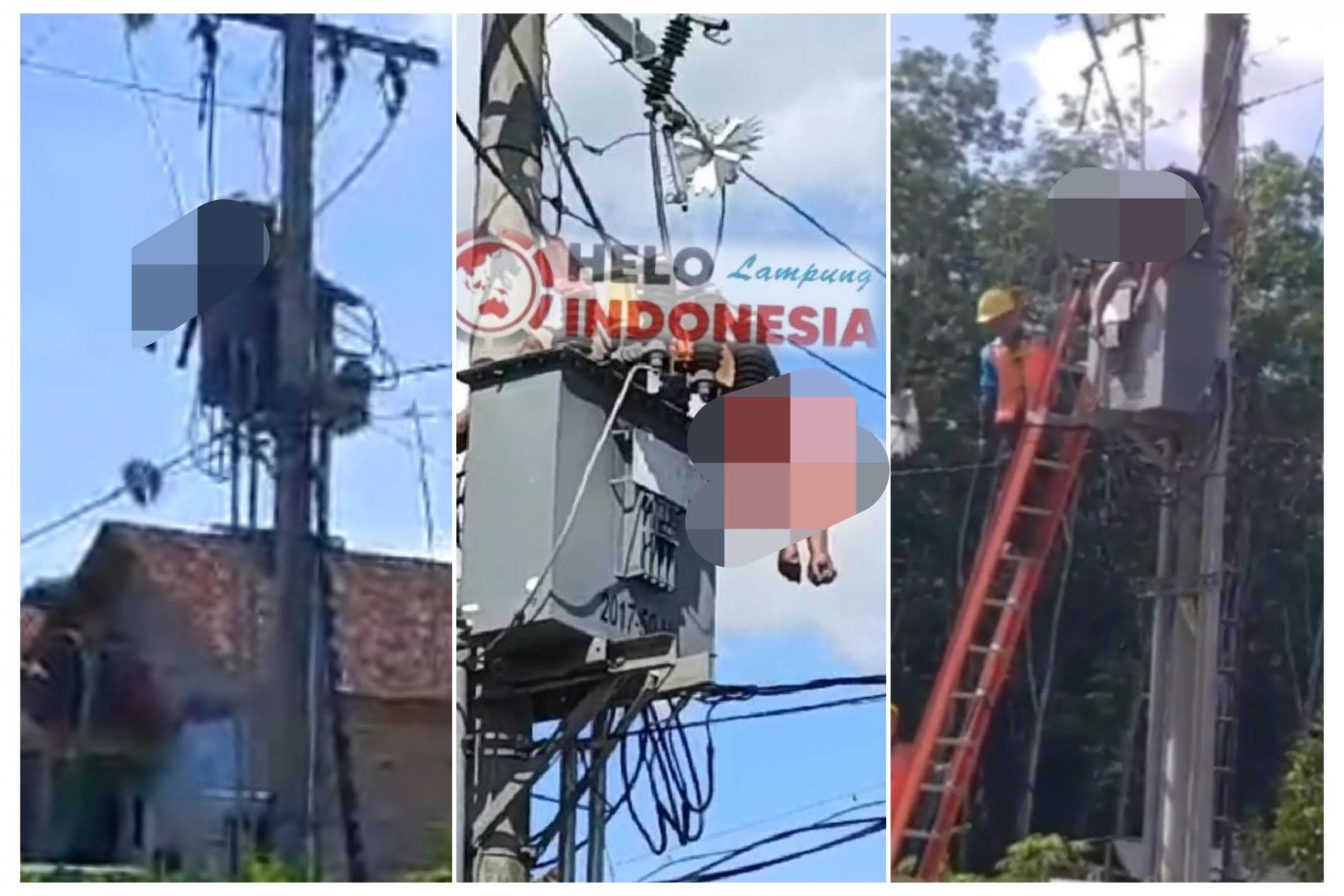 Warga Tewas Terjuntai di Atas Gardu Tiang Listrik Ketika Hendak Pasang kWh