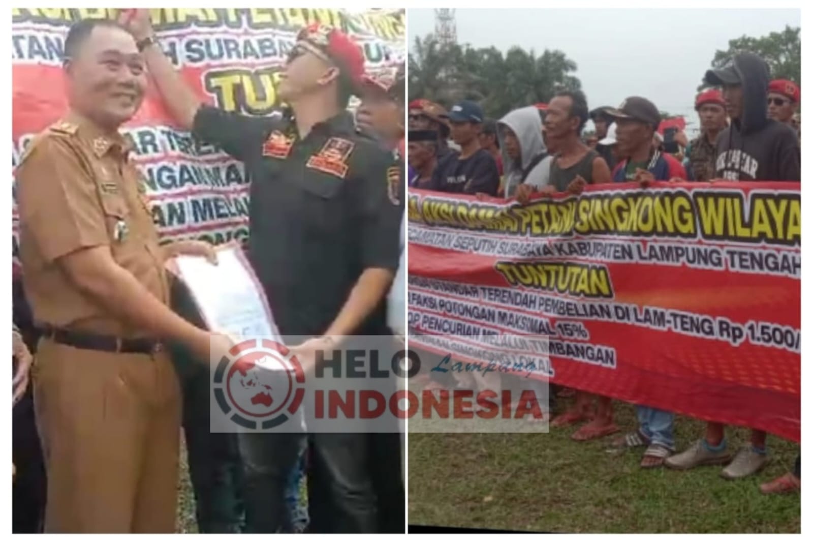 Seribuan Petani Singkong Lamteng Unjuk Rasa, Tuntut Harga, Rafaksi, Timbangan