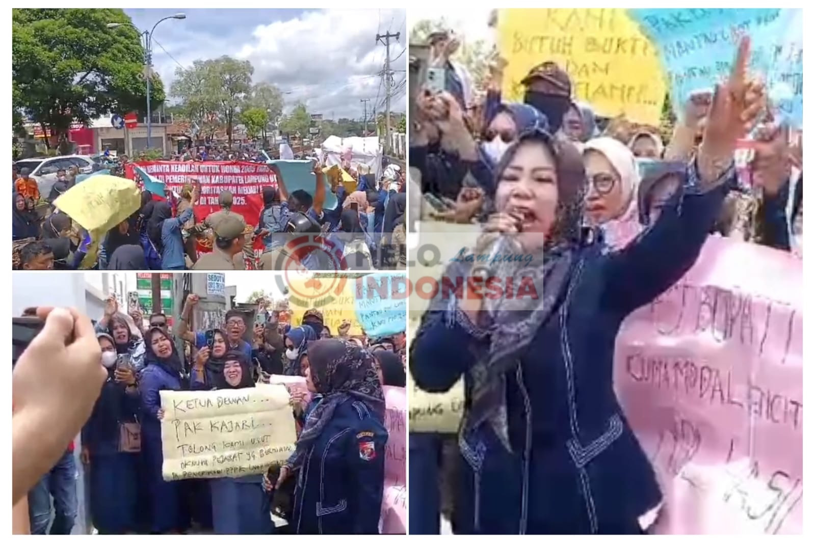 500-an Honorer Lampura Tuntut Transparansi Penerimaan PPPK