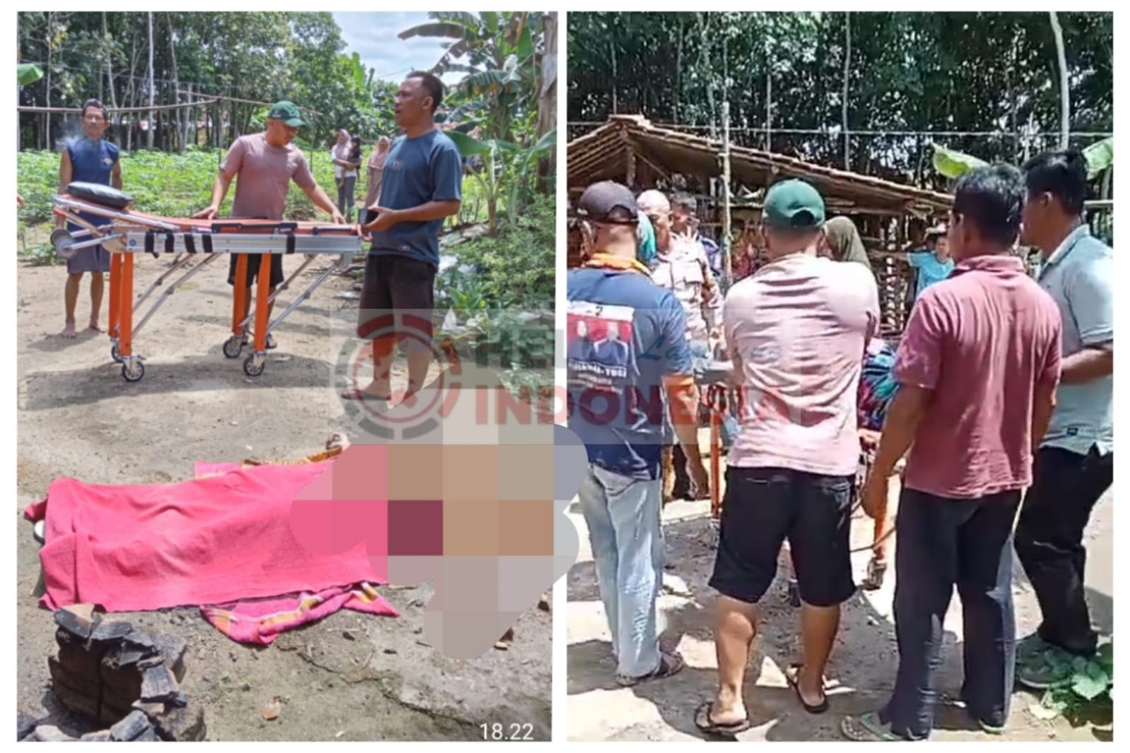 Gagal Merudapaksa, ODGJ Pacul Hingga Tewas Ibu Muda di Mesuji