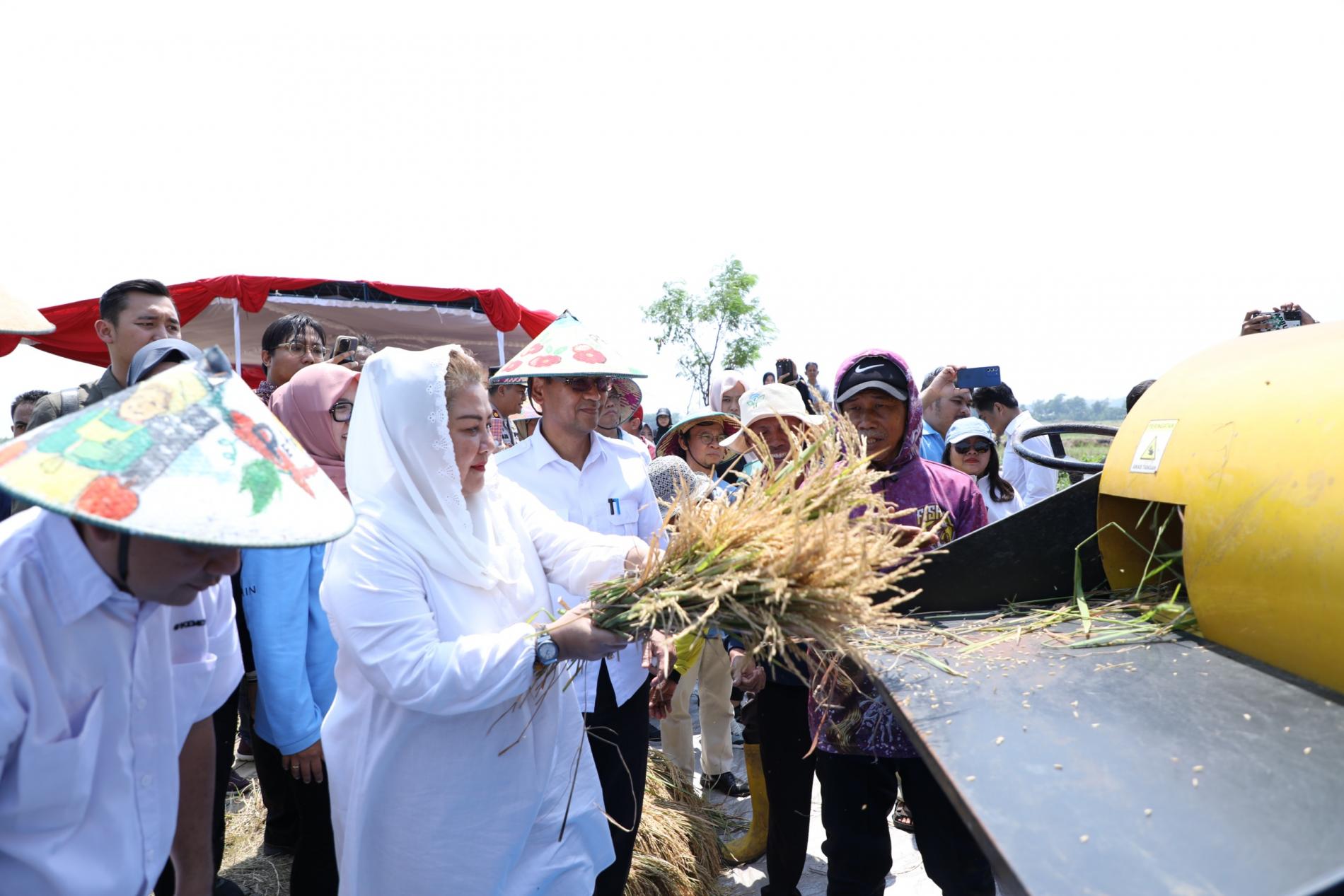 Kota Semarang Siap Jadi Pelopor Inovasi Lahan Salin di Indonesia 