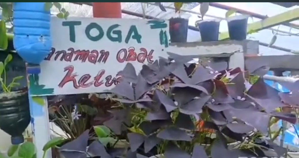 Desa wisata 