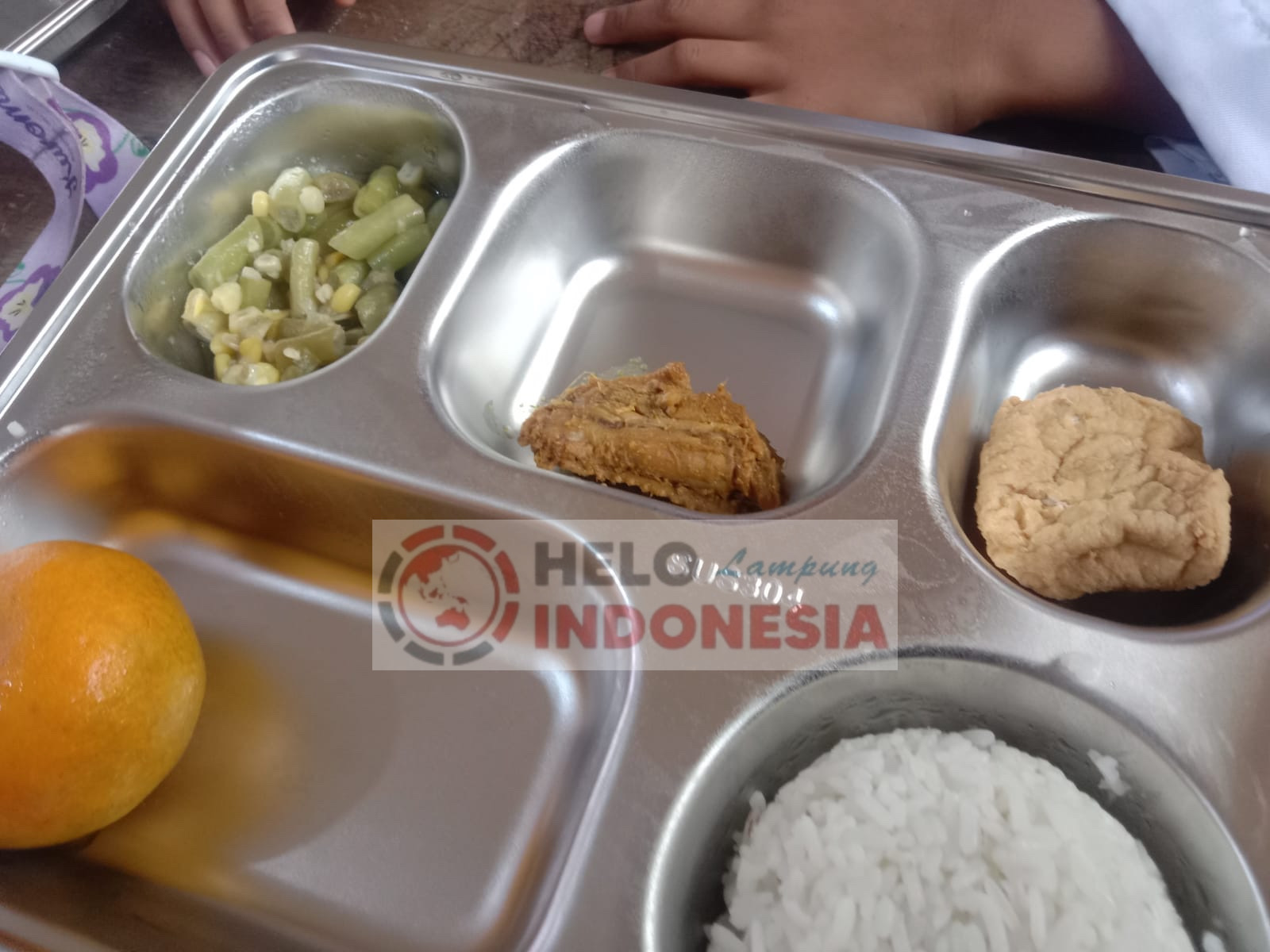 Menu MBG 2025 Lamtim Ayam Sejempol, Tahu Sepotong, Sayur Hambar 3 Sendok