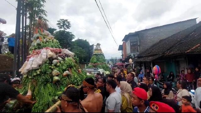Warga Boja Kendal Berebut Gunungan Merti Desa, Bentuk Penghormatan Nyai Dapu