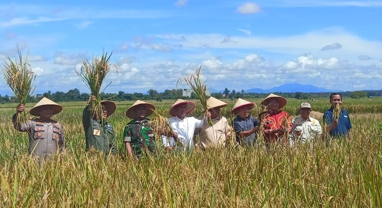 Panen Raya Padi, Bupati Dendi Tegaskan Sektor Pertanian Prioritas
