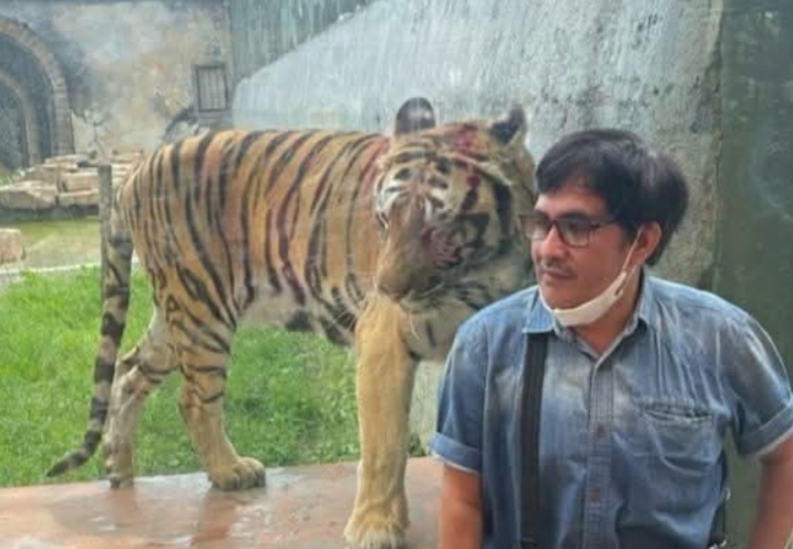 Bagi Kitorang dan Gubernur Iyay Mirza, Harimau Itu Puyang