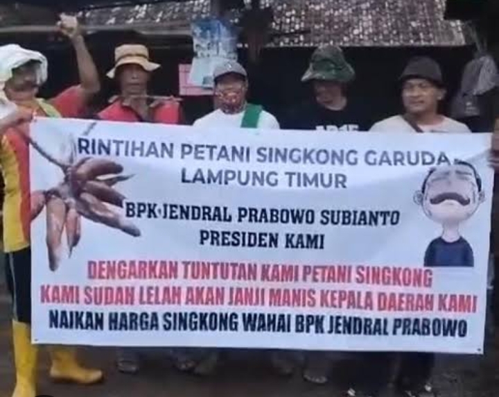 Singkong, Umbi Pendatang Yang Masih Centang Perenang