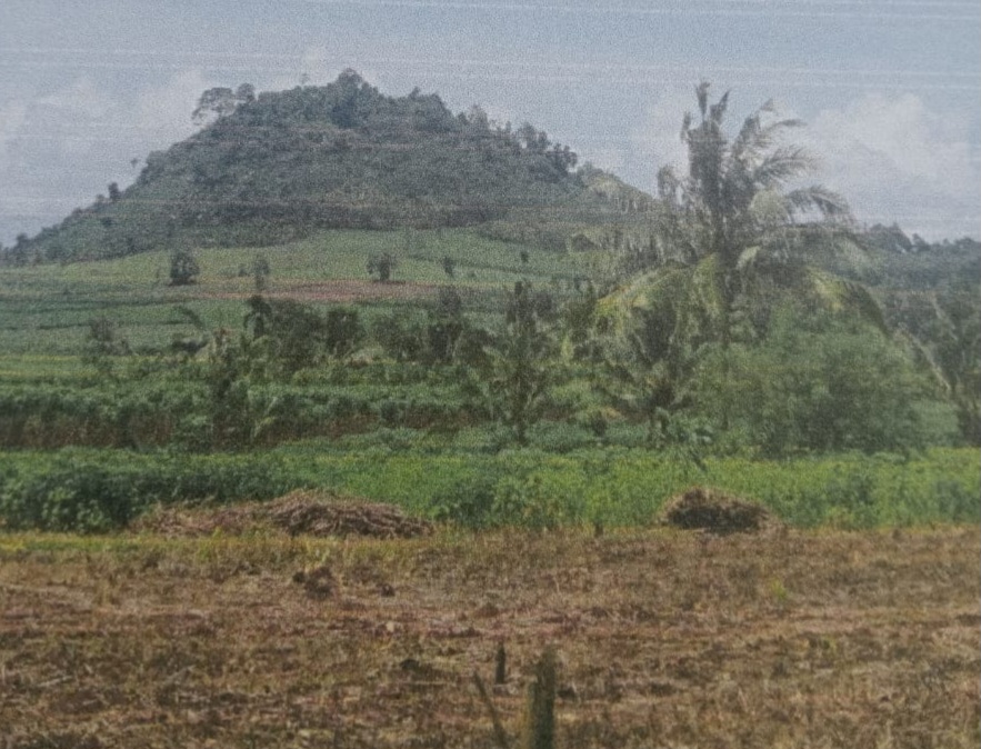 Al Firman: Kembalikan Register 38 Gunung Balak Lampung Timur Sebagai Kawasan Hutan Lindung 