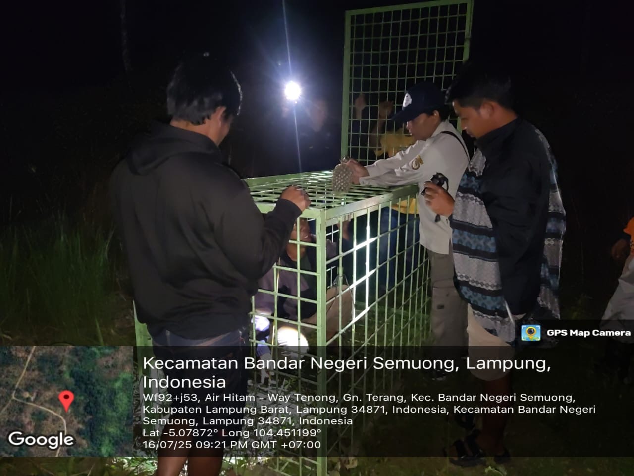 BKSDA Pasang Kandang Jebak Beruang Madu di Air Hitam, Lambar