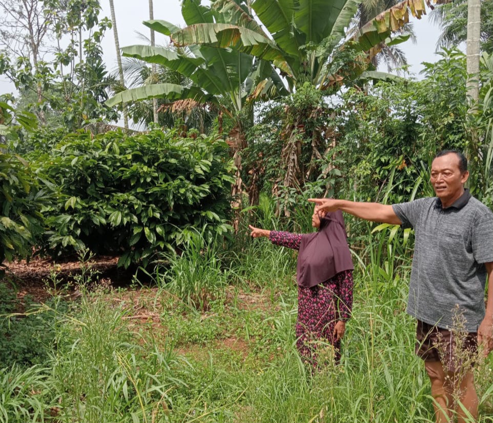 Pewaris Tunggal Ancam Lapor Polres Lamtim, Tanah Dipaksa Dibagi 2 ke Anak Sambung