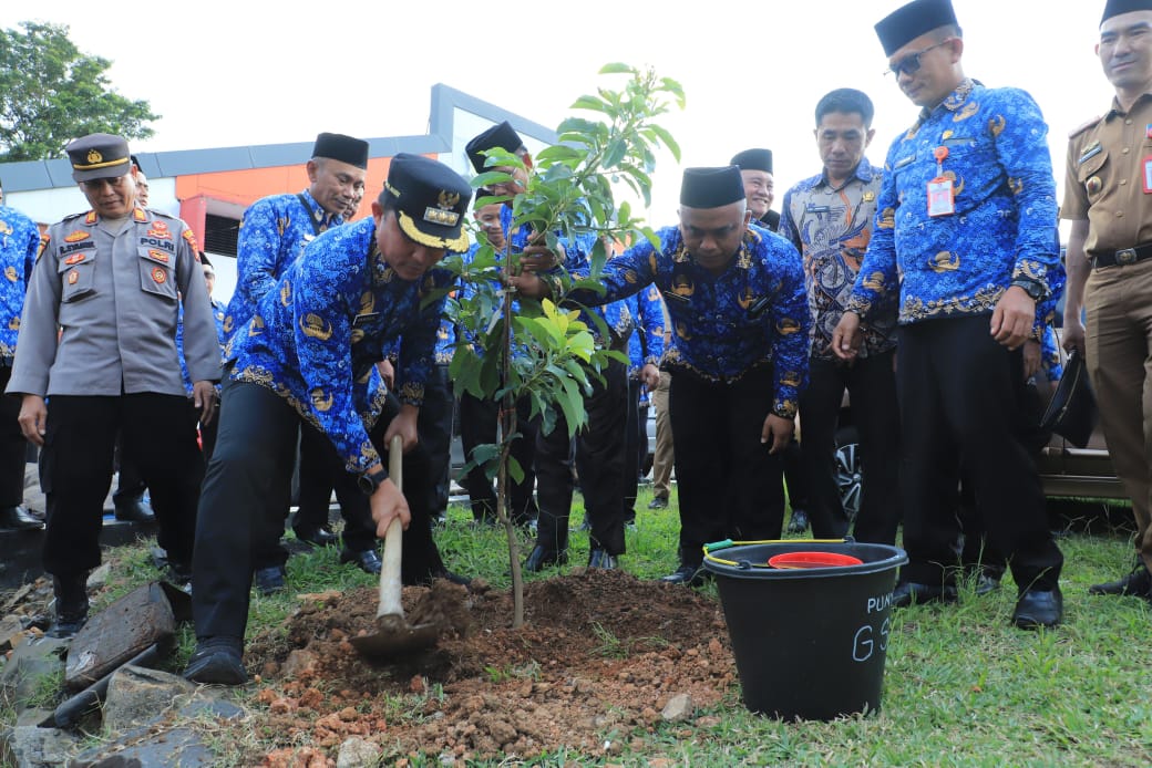 Komitmen Kabupaten Konservasi, Parosil Mabsus Bagikan 240 Pohon Alpukat Siger